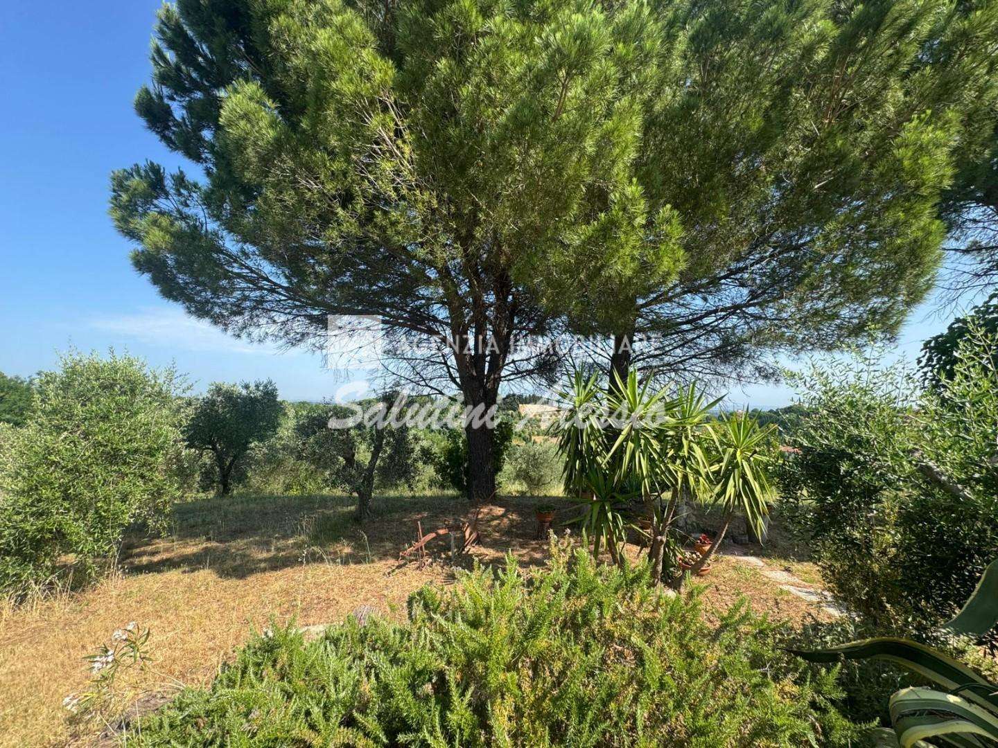 - foto 46