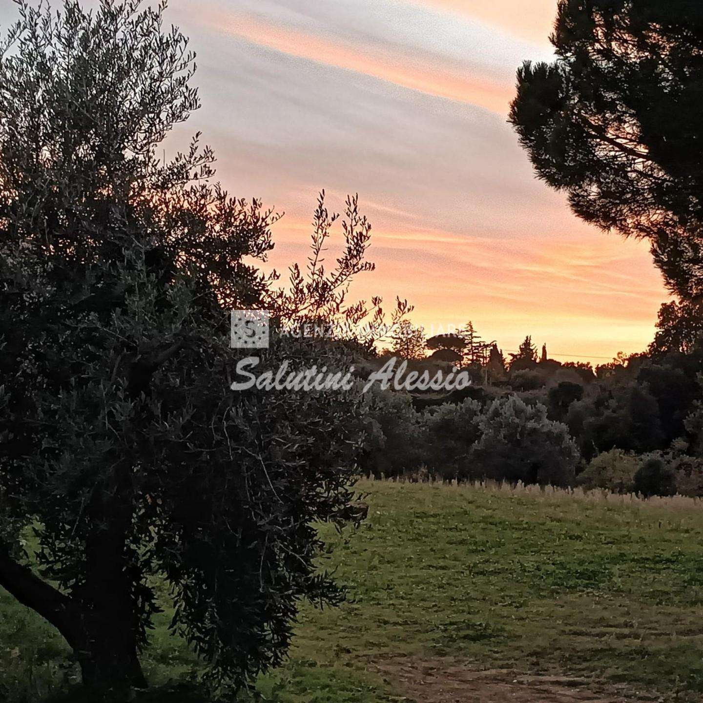  - foto 51