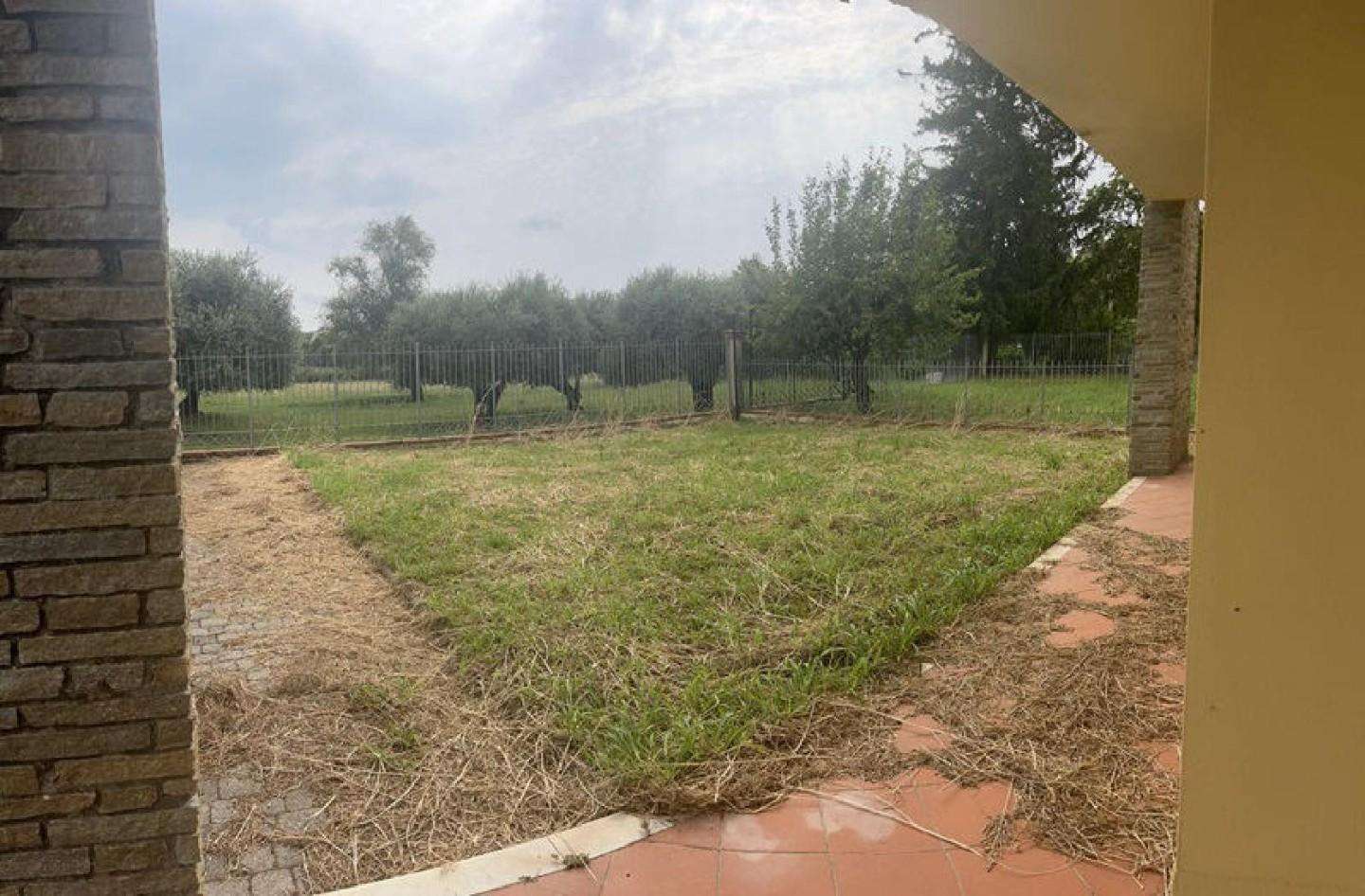 immagine annuncio 3 di 13