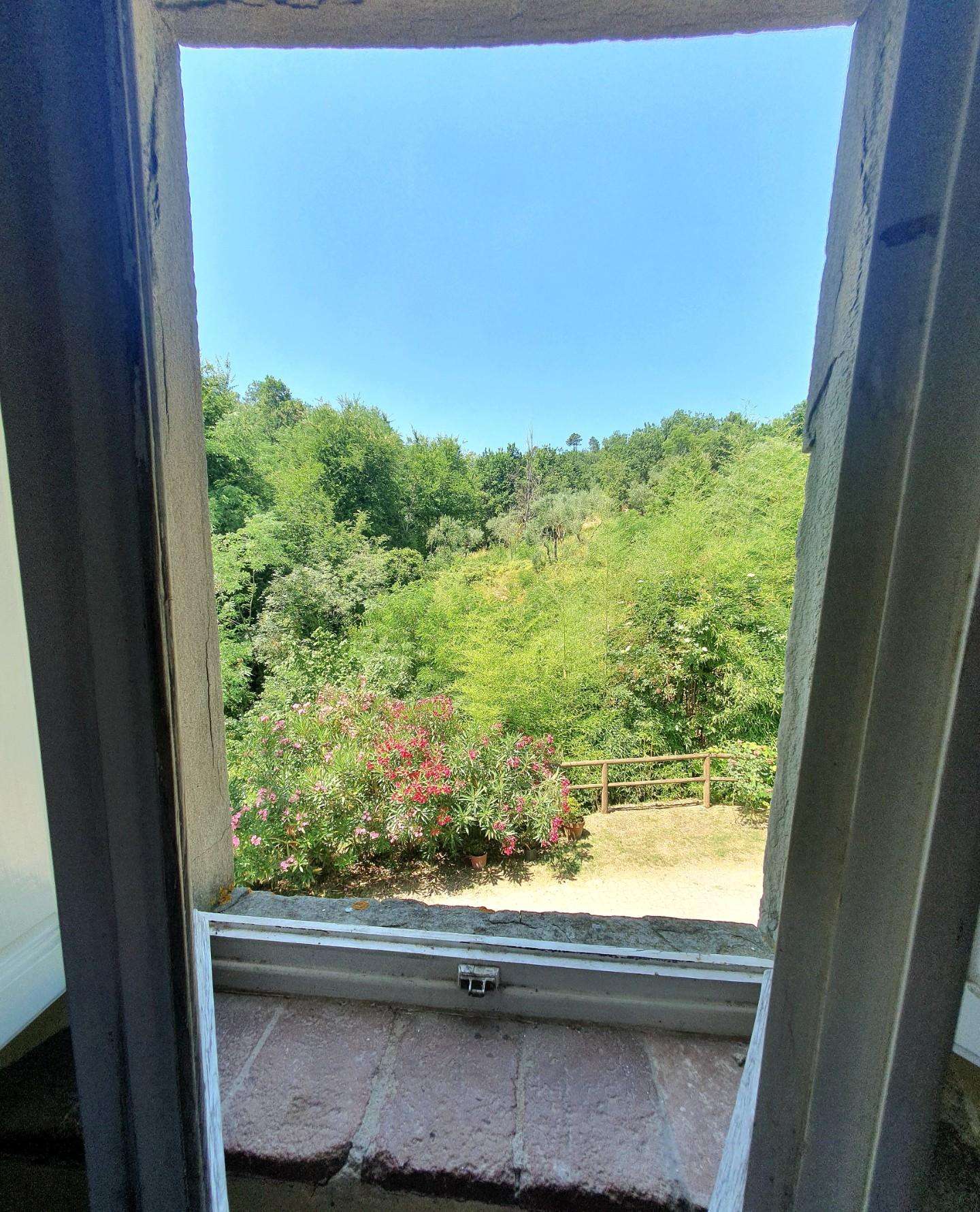  - foto 24
