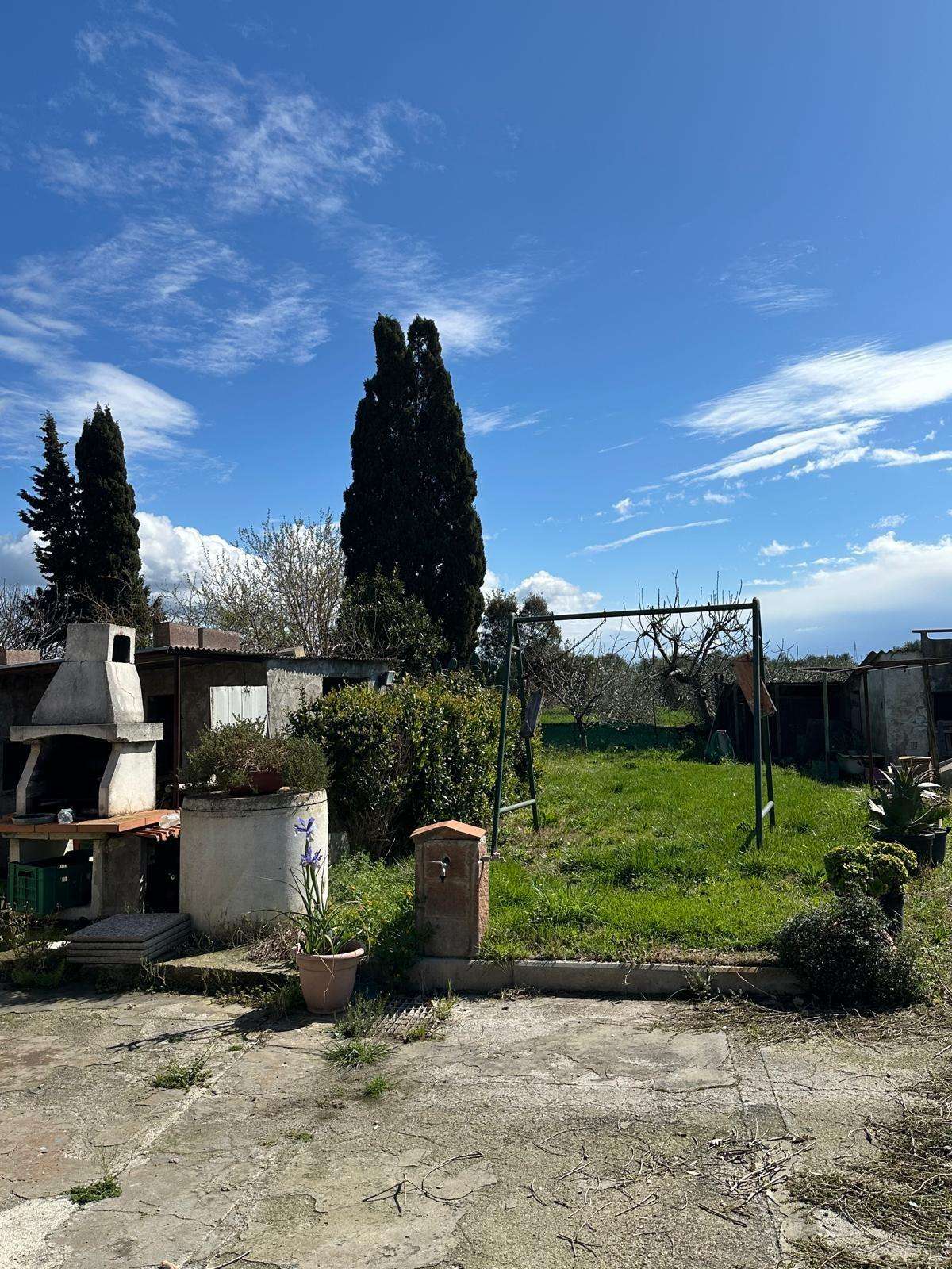 immagine annuncio 5 di 12