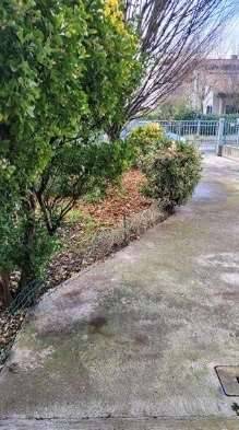 casa indipendente in vendita a Nogara