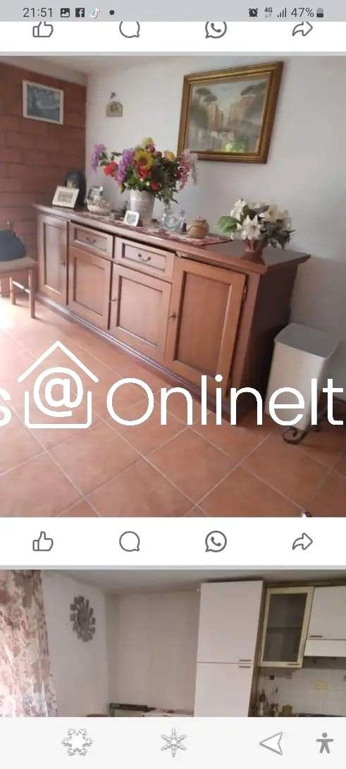 immagine annuncio 1 di 14