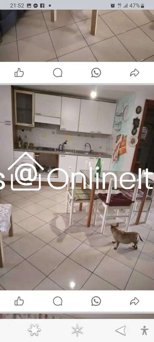 immagine annuncio 7 di 14