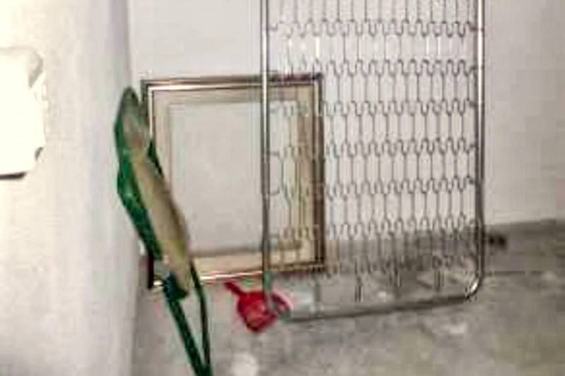 immagine annuncio 5 di 10
