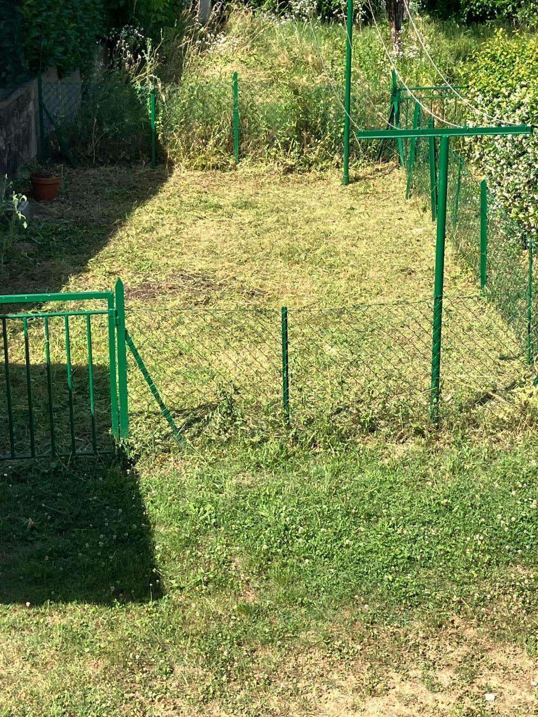immagine annuncio 8 di 14