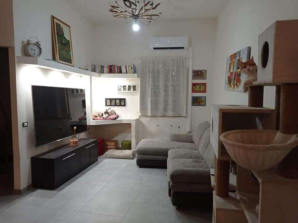 - foto 5