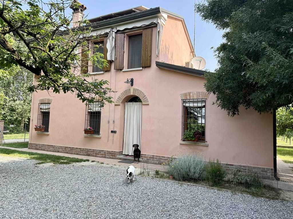  - foto 3