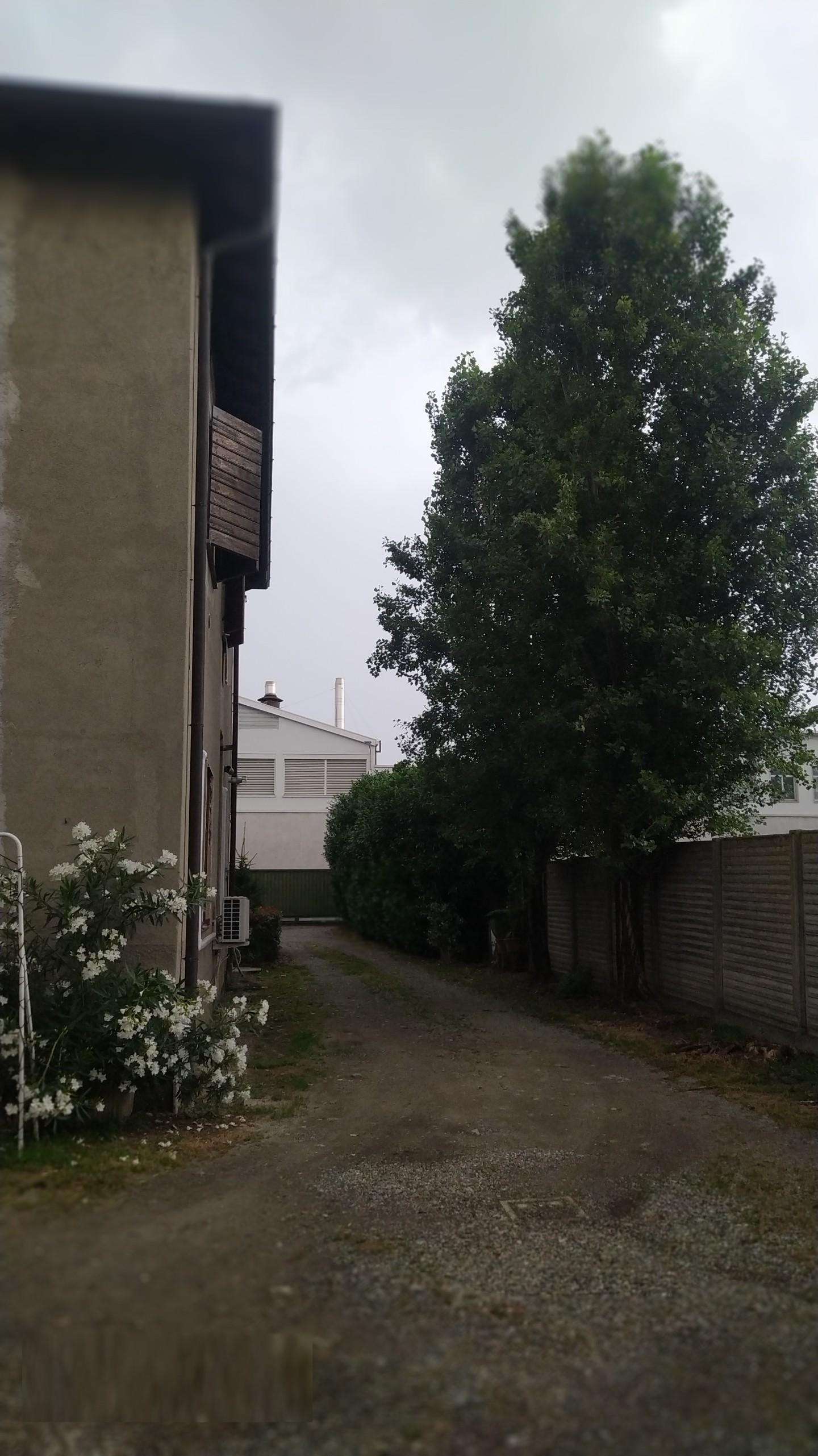 immagine annuncio 1 di 3
