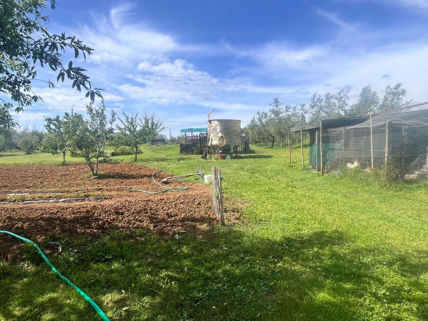 immagine annuncio 5 di 6