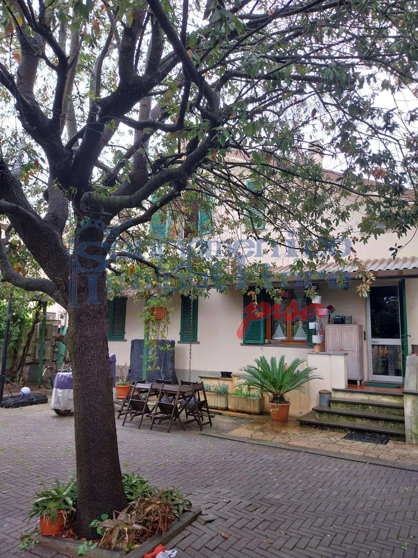  - foto 25