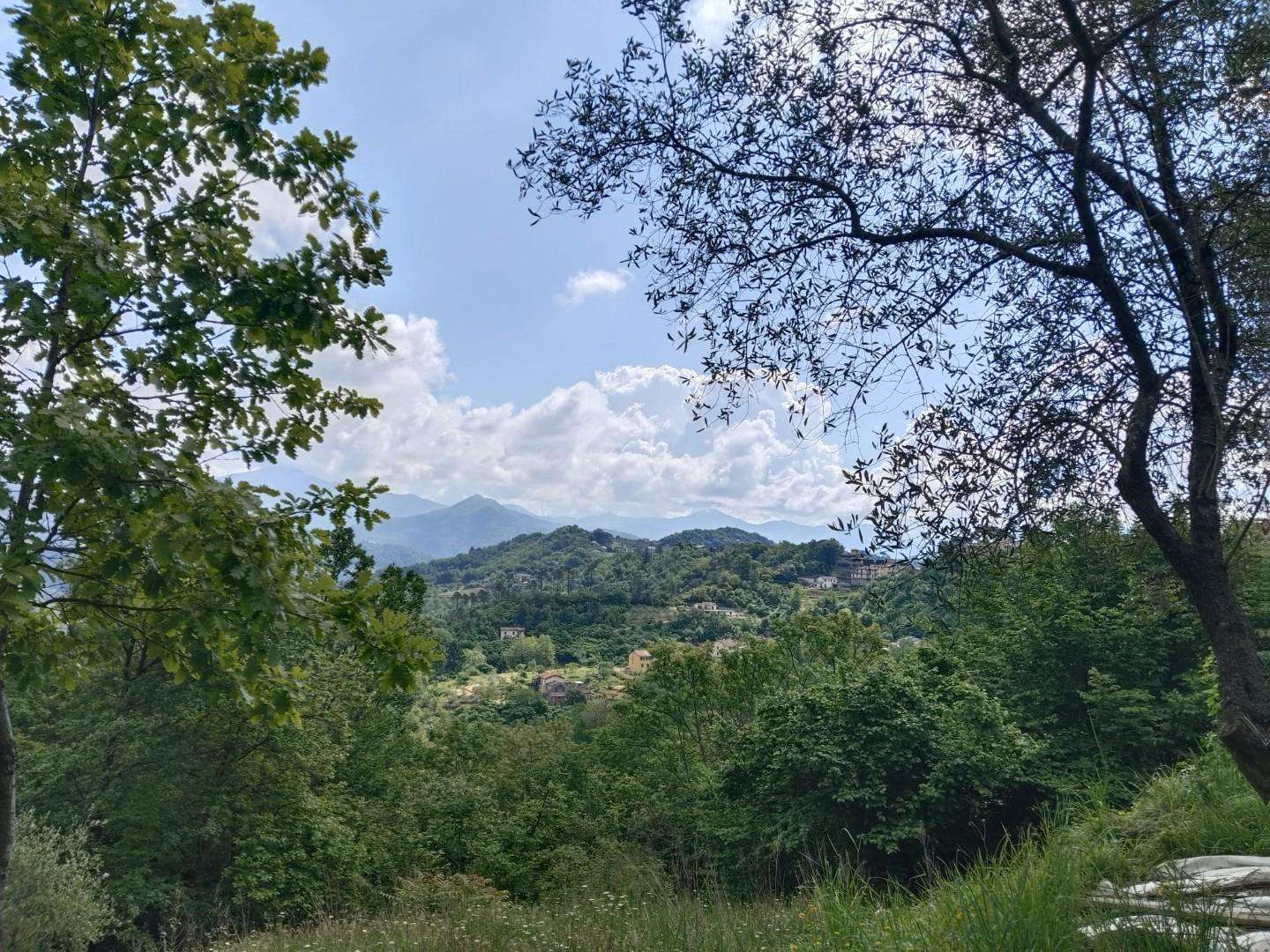  - foto 25