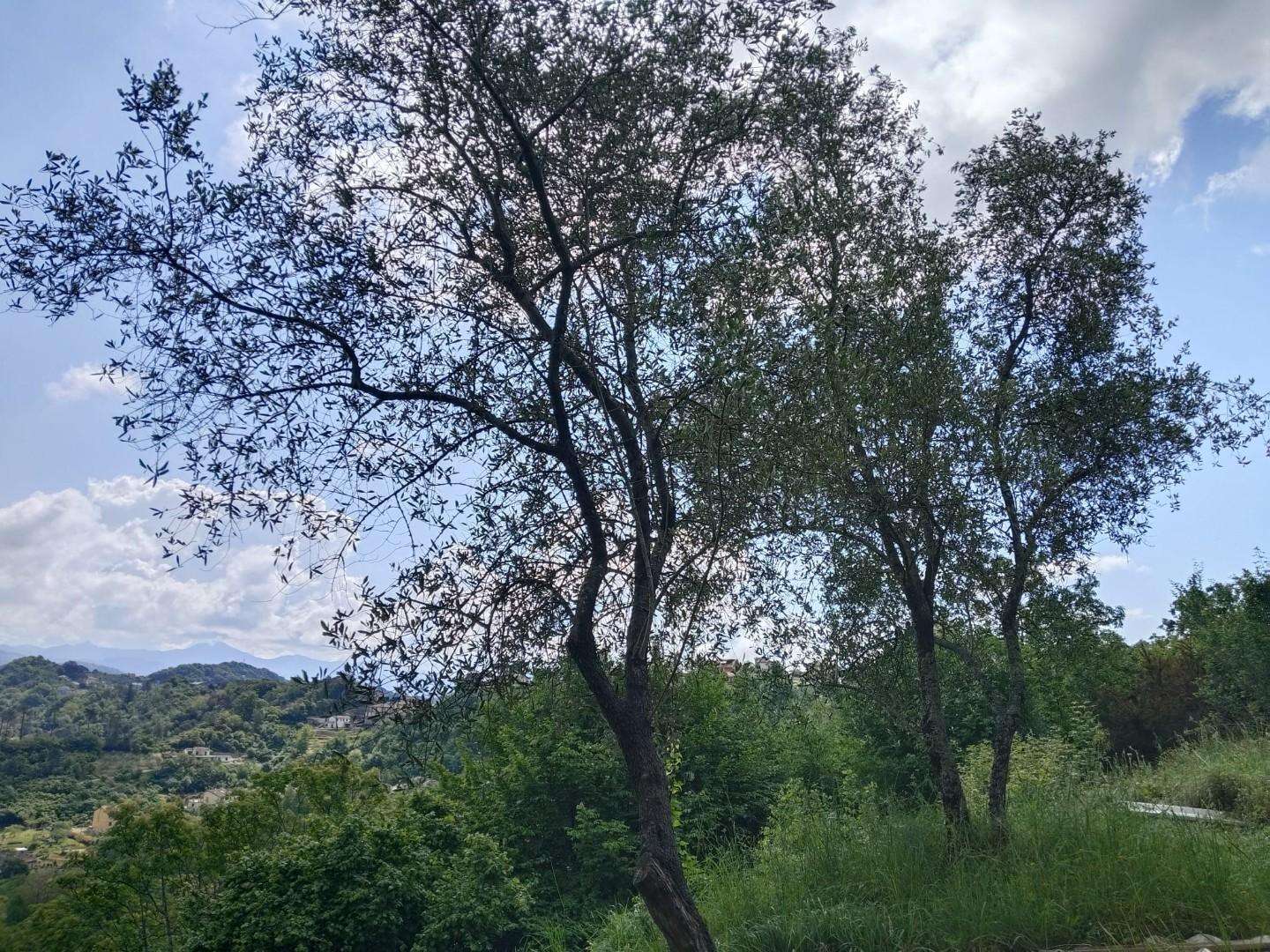  - foto 32
