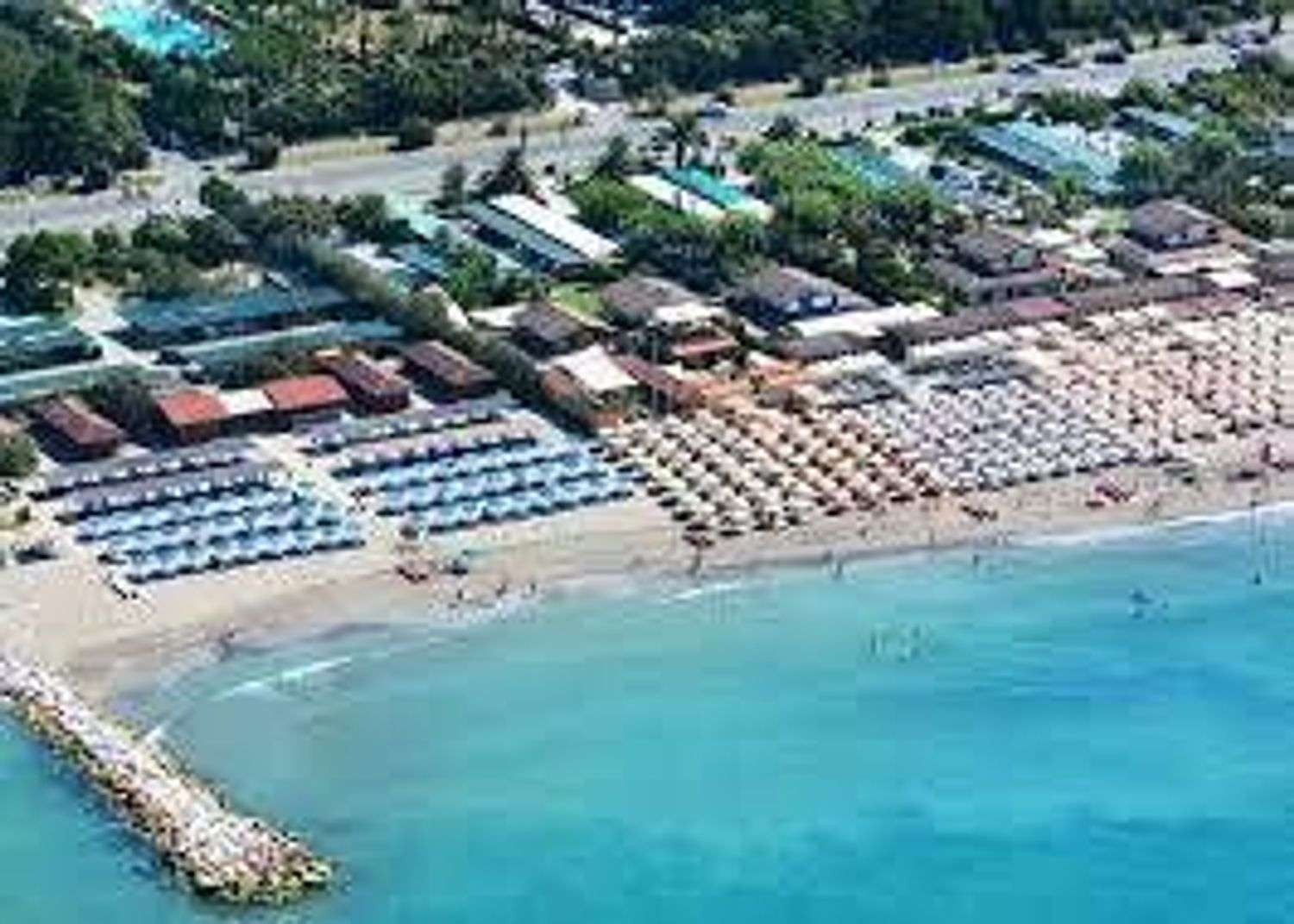 immagine annuncio 9 di 15