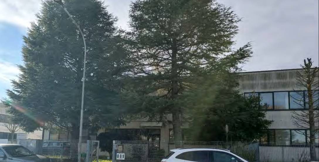 immagine annuncio 3 di 10