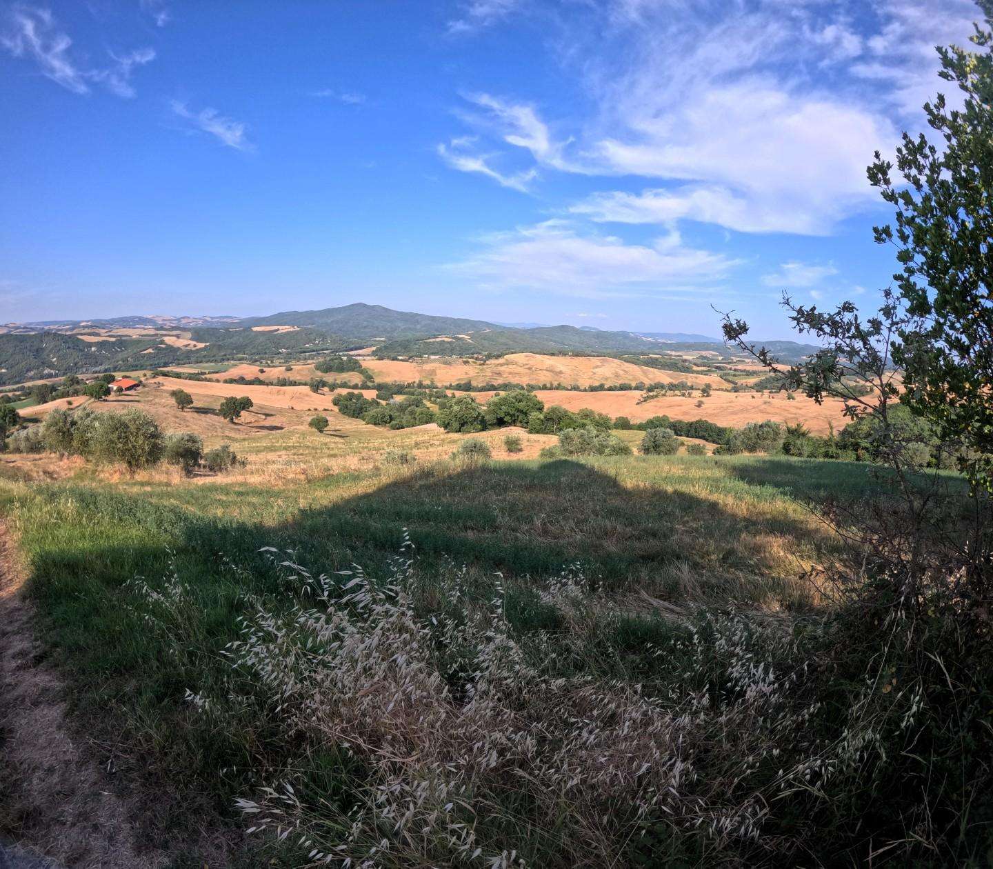 Azienda agricola Pomarance PI,  56045, Pomarance