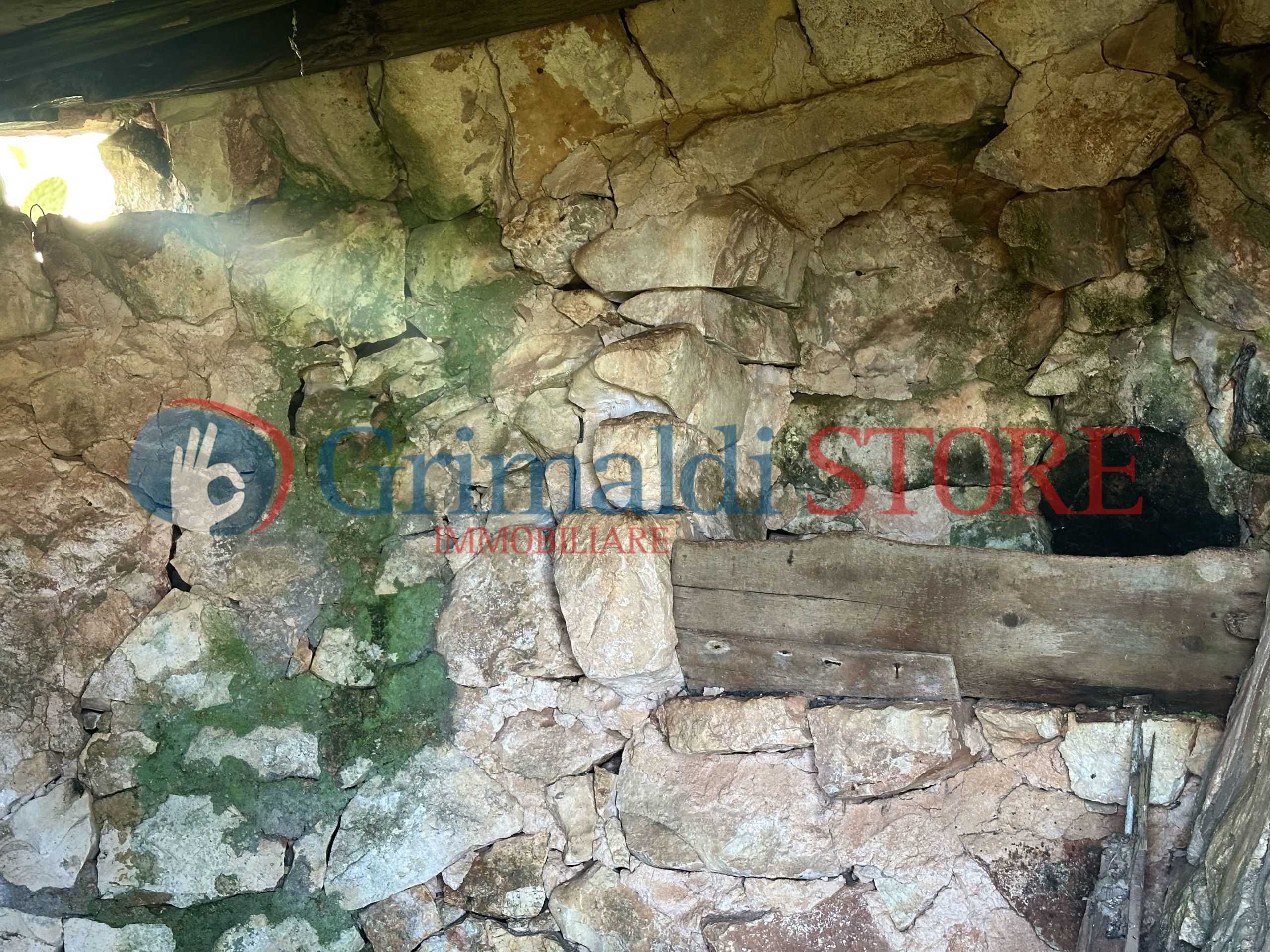  - foto 21