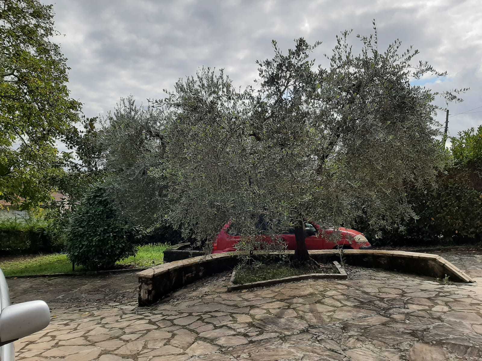  - foto 12