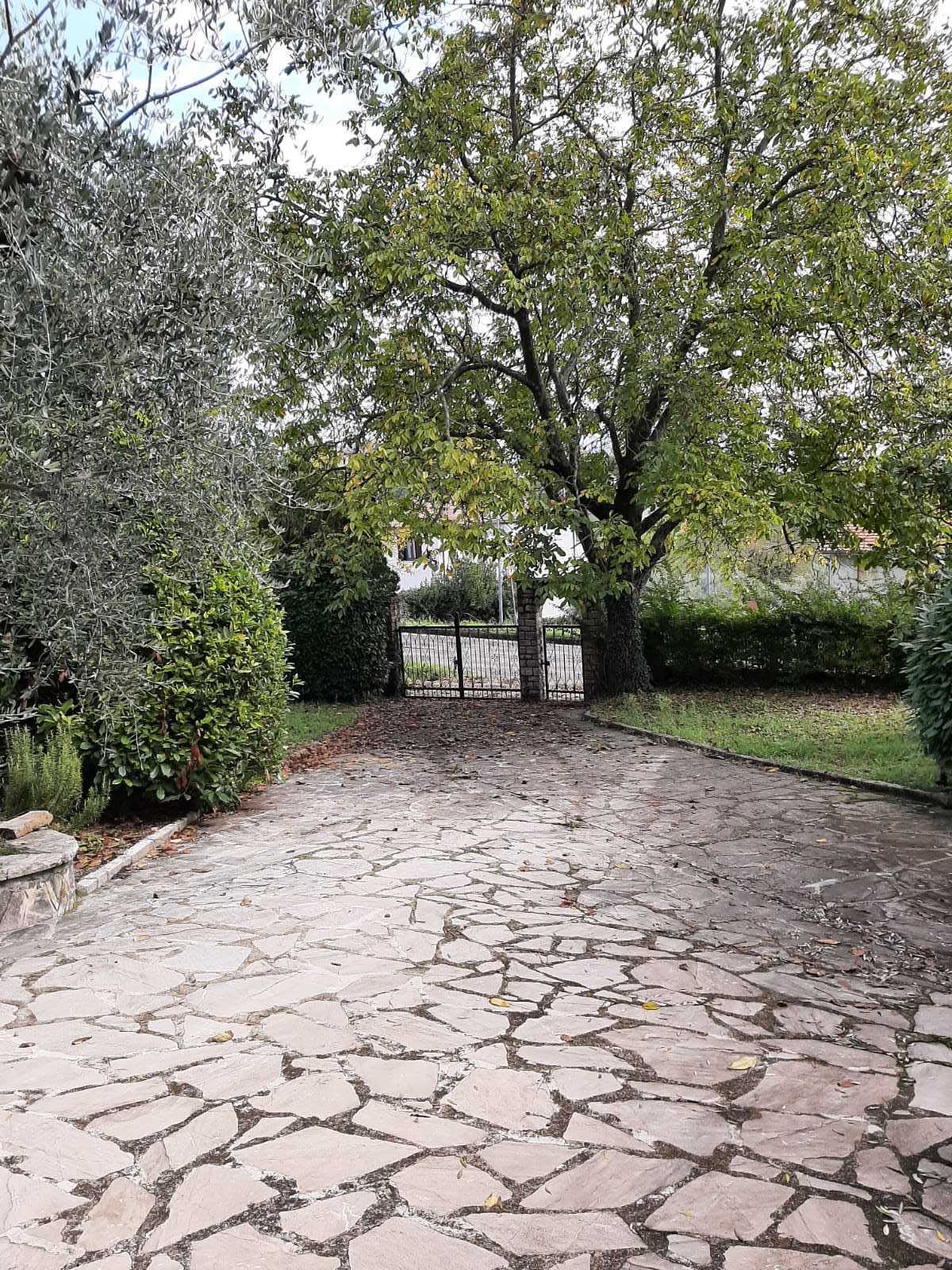  - foto 14