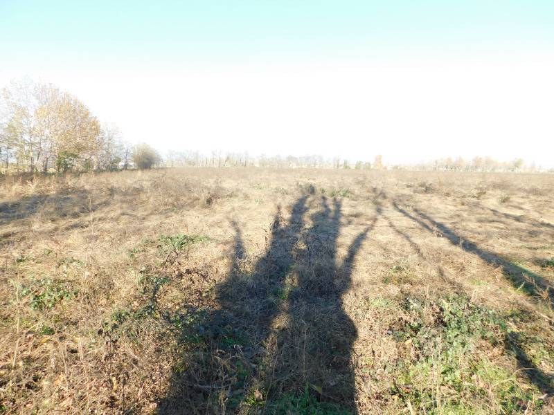  - foto 28