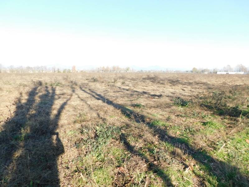  - foto 31