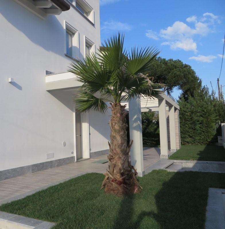  - foto 3