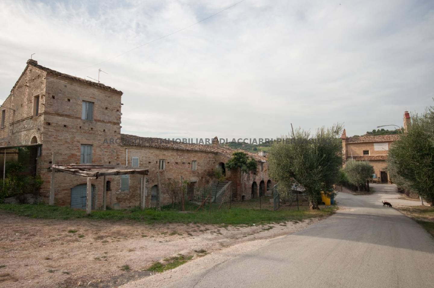 immagine annuncio 7 di 10