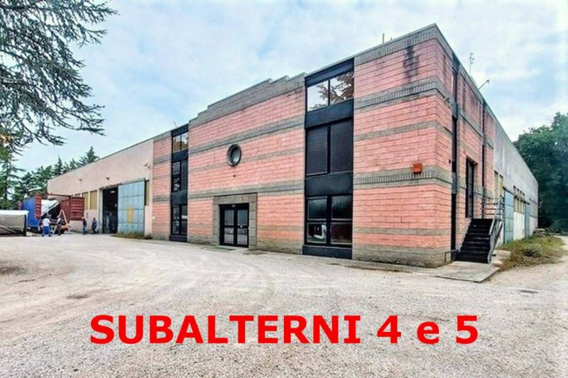 immagine annuncio 2 di 8