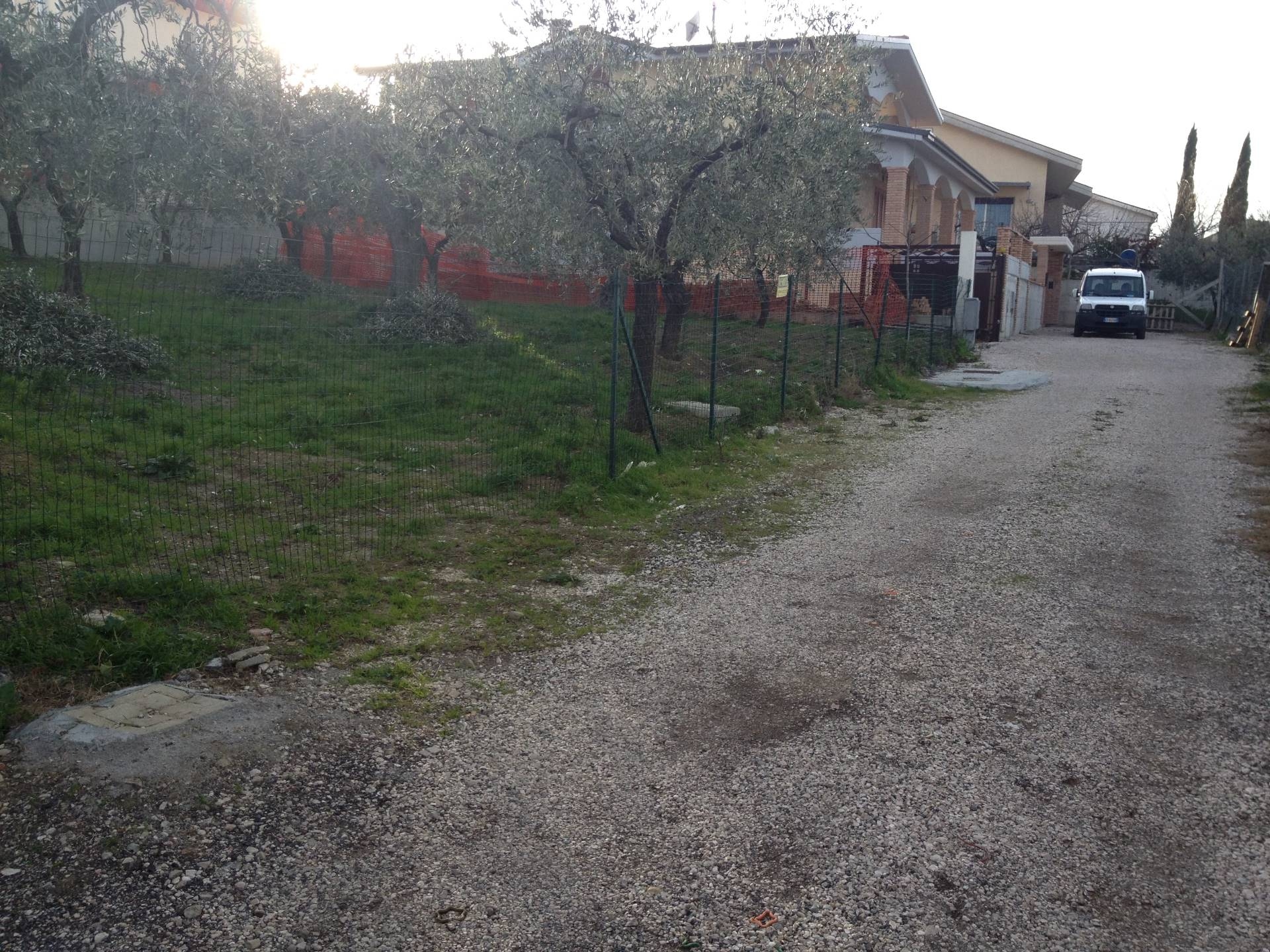 immagine annuncio 1 di 8