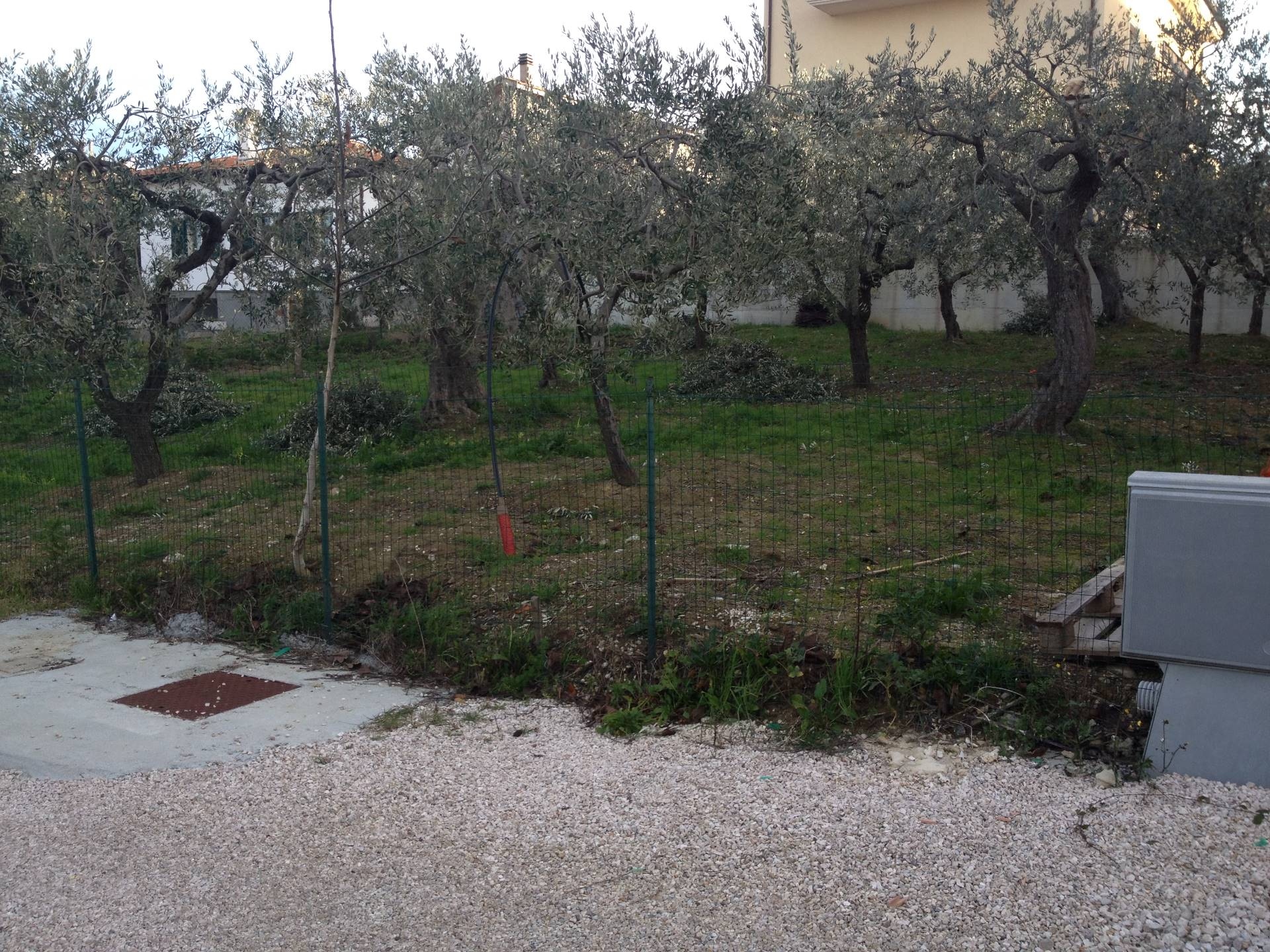immagine annuncio 2 di 8