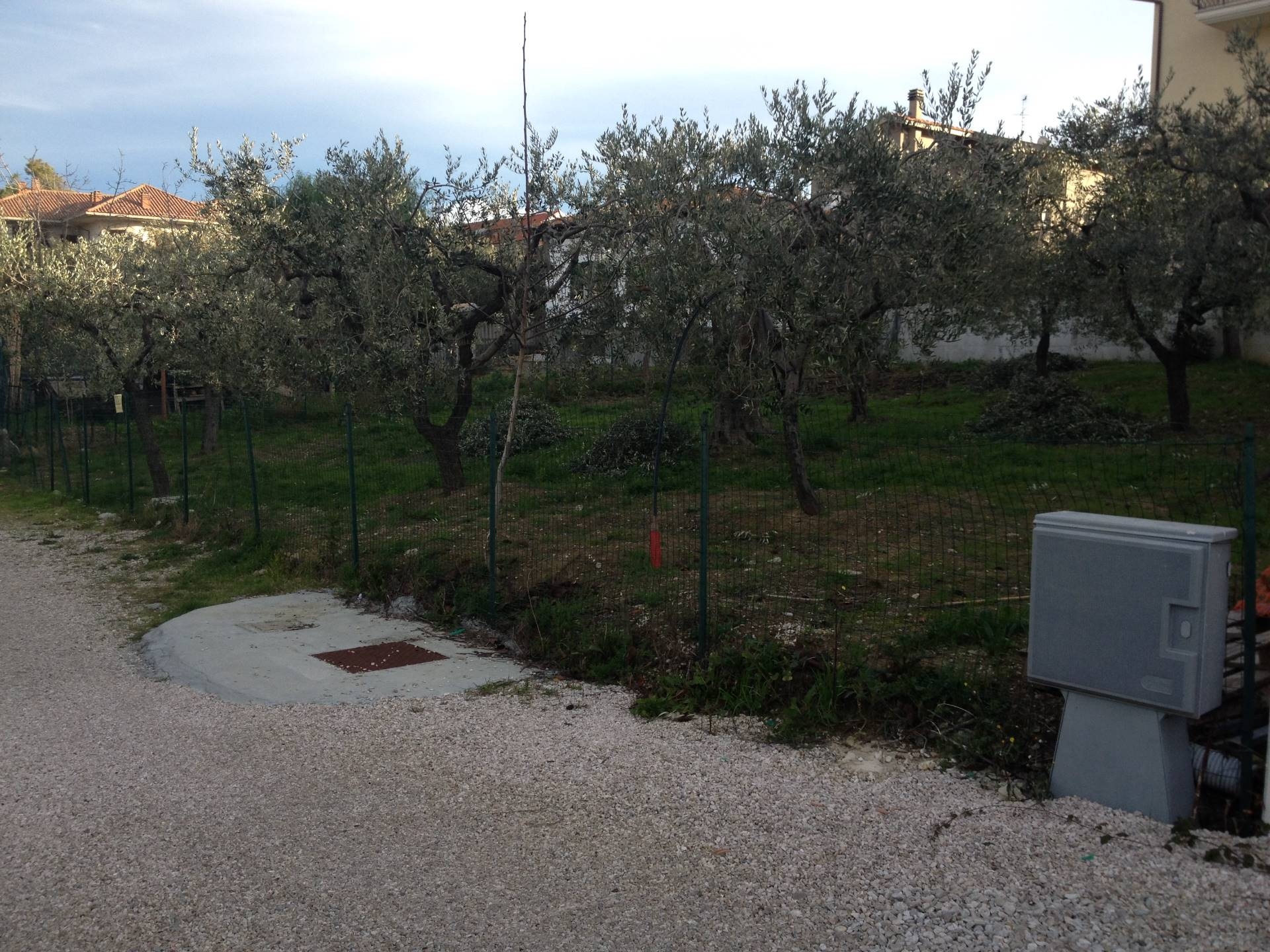 immagine annuncio 3 di 8