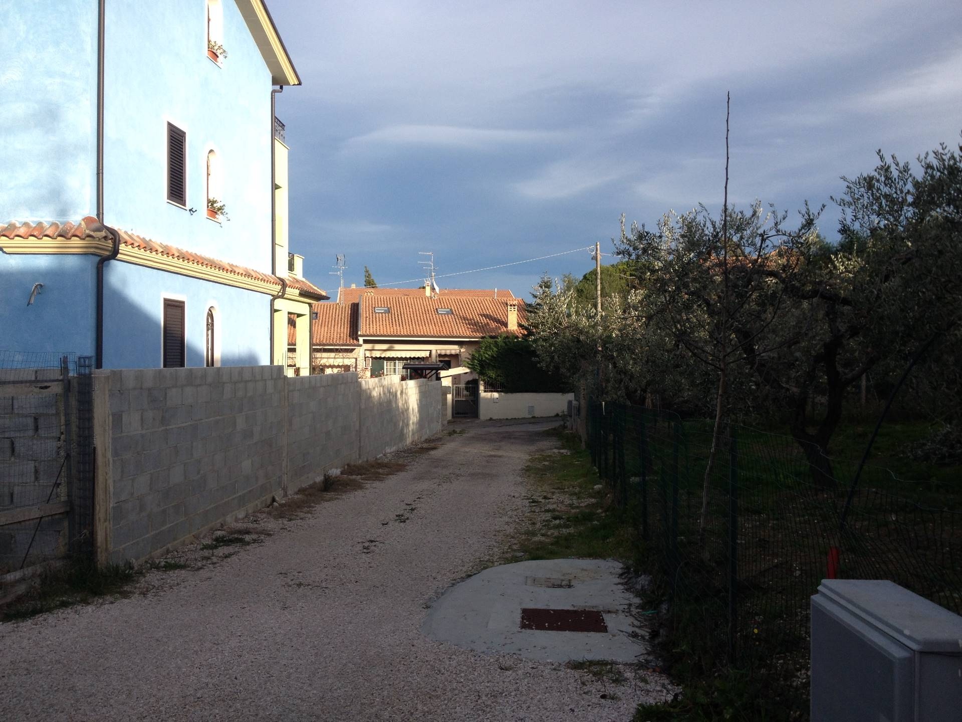immagine annuncio 4 di 8