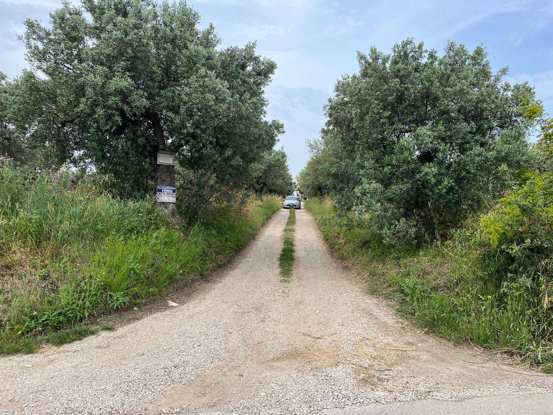  - foto 2