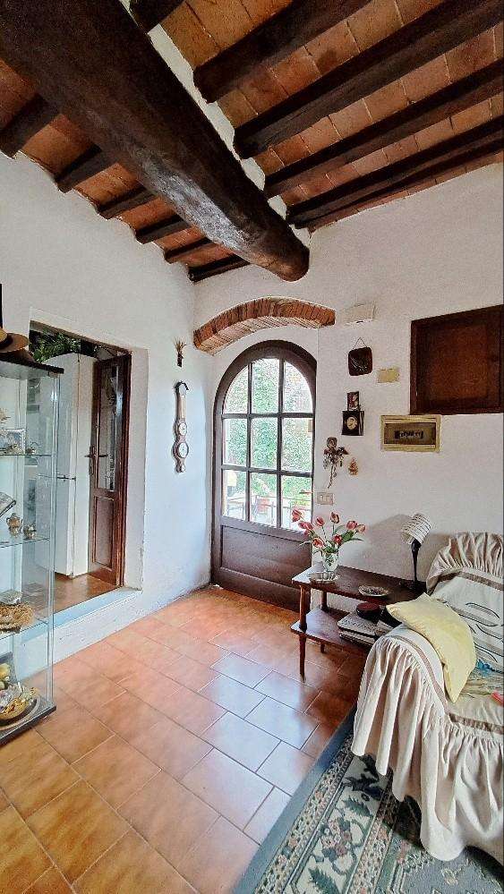  - foto 12