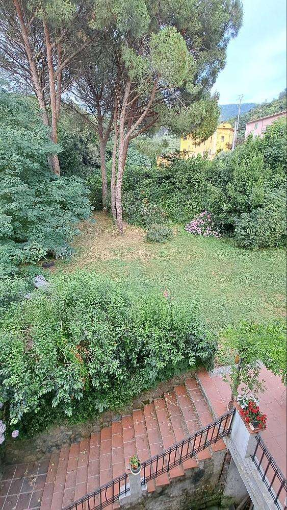  - foto 36