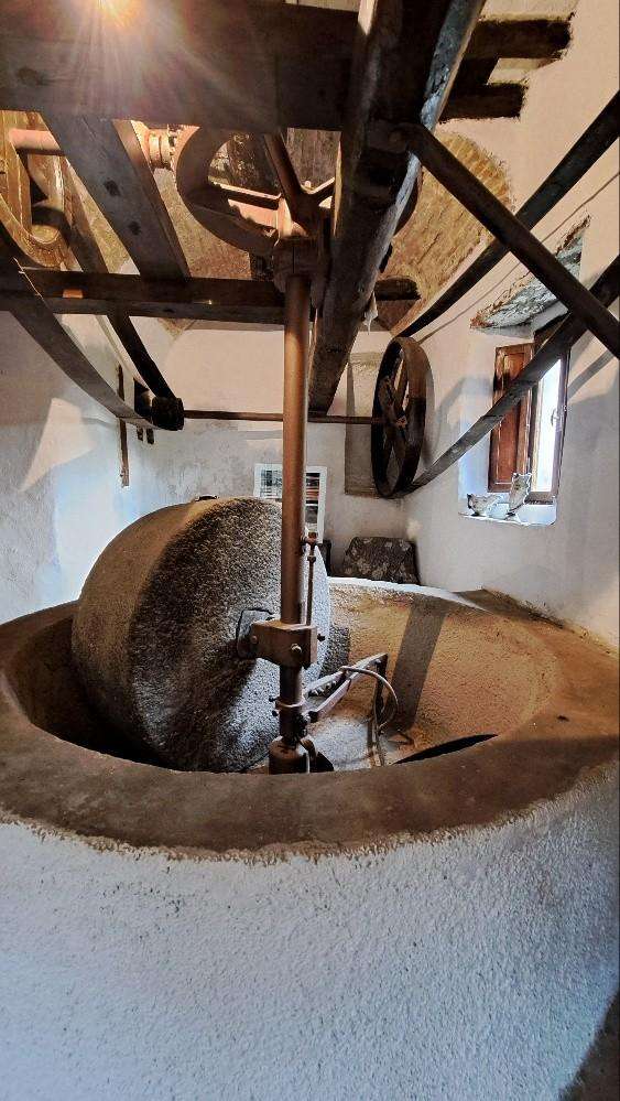  - foto 48