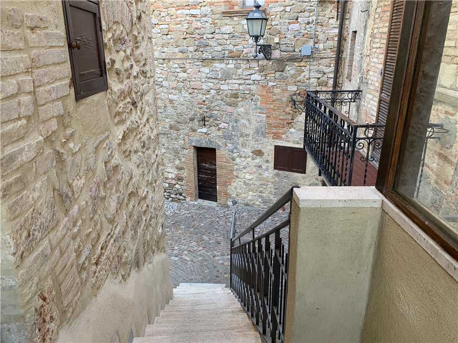  - foto 21