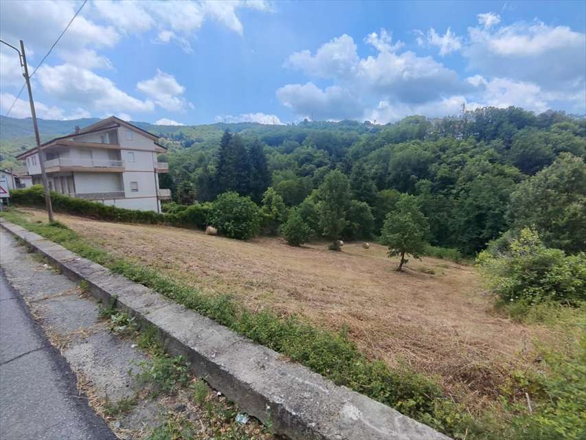 immagine annuncio 5 di 6