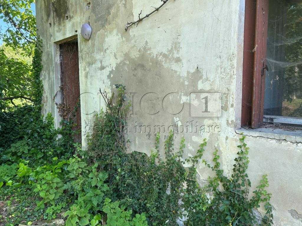  - foto 7