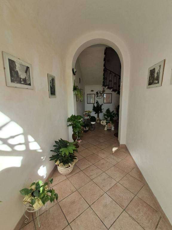  - foto 35