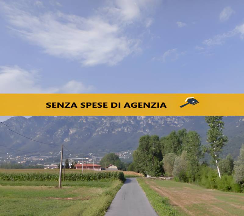 immagine annuncio 4 di 7
