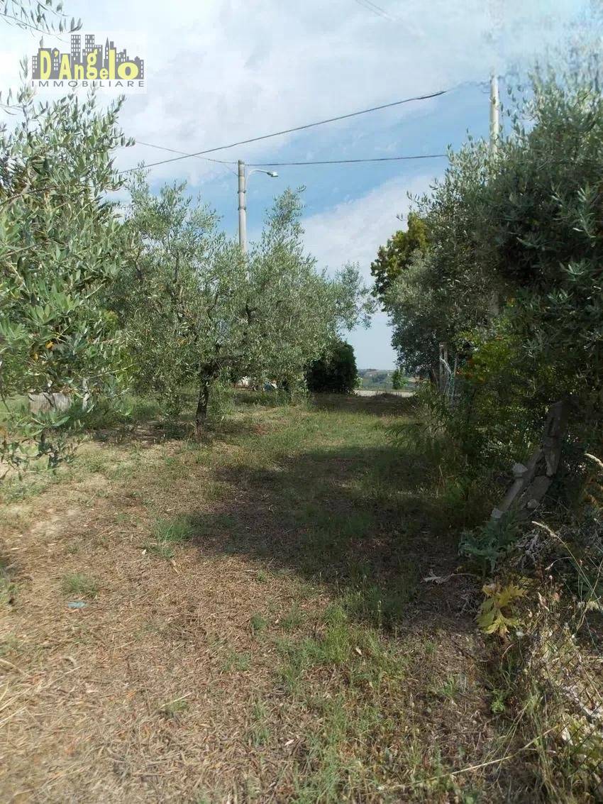 immagine annuncio 4 di 14