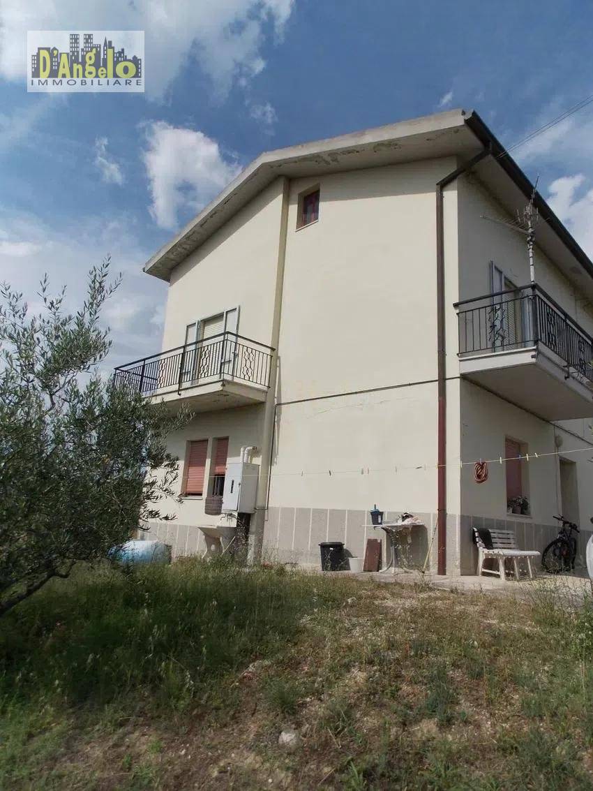 immagine annuncio 9 di 14