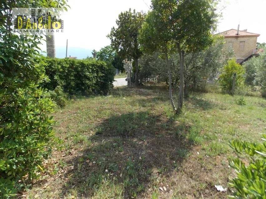 immagine annuncio 11 di 14