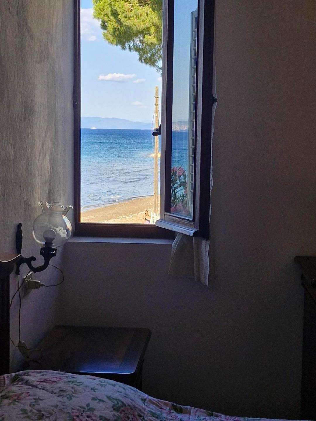  - foto 13