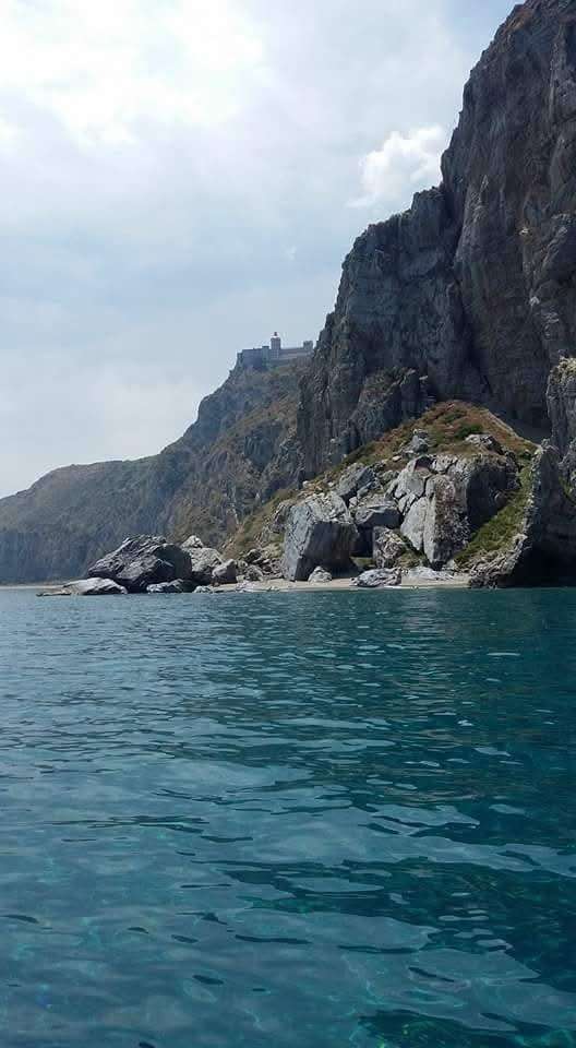 immagine annuncio 4 di 14