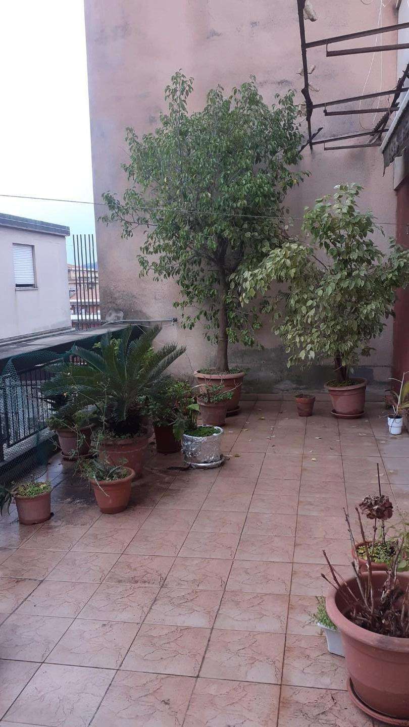 immagine annuncio 5 di 11