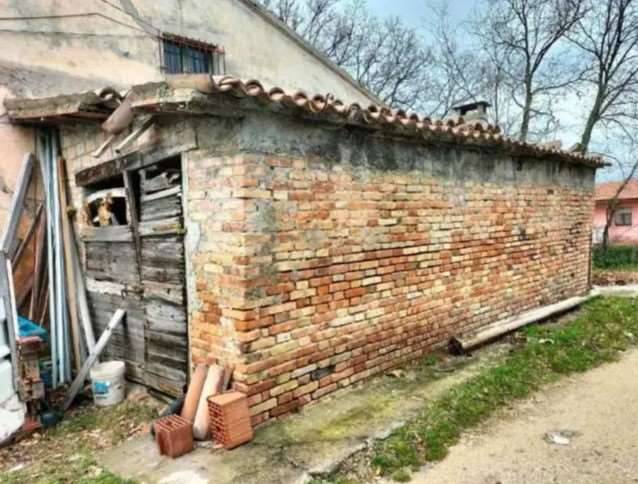 immagine annuncio 7 di 8