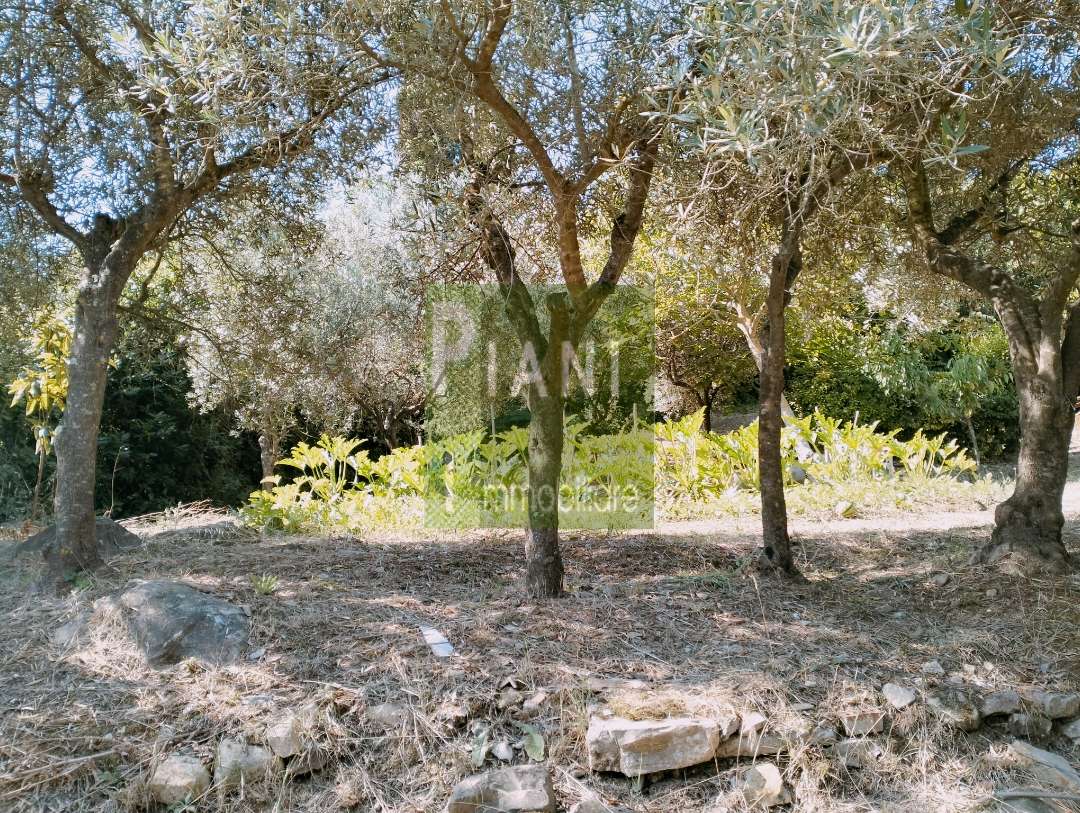  - foto 6