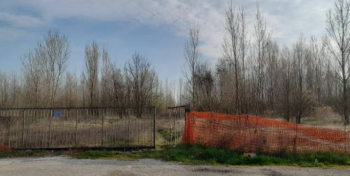 immagine annuncio 2 di 8